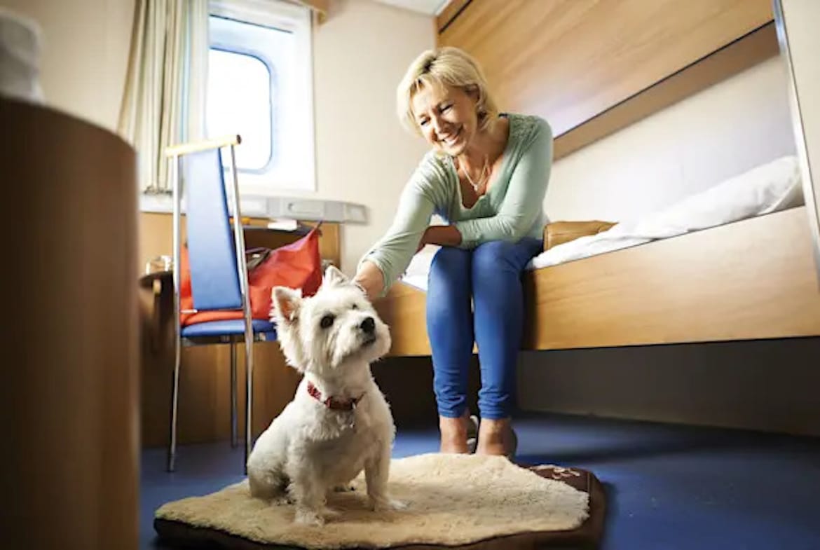 Travelling with pets from Portsmouth to France by Ferry